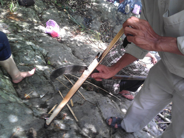 L&ecirc;n n&uacute;i Ch&uacute;a đi biển B&igrave;nh Ti&ecirc;n ở Ninh Thuận 